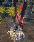 20030511mother2.jpg